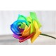 Twenty Rainbow Rose in Vase Twenty Rainbow Rose in Vase