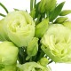 Birthday Package - Rose Bouquet + Moet Chandon Champagne Birthday Package - Rose Bouquet + Moet Chandon Champagne