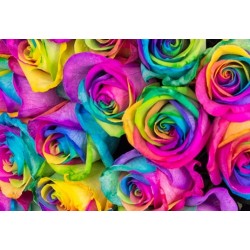 Twenty Rainbow Rose in Vase Twenty Rainbow Rose in Vase