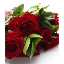 12pcs RED Roses Valentine Bouquet 12pcs RED Roses Valentine Bouquet