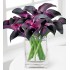 Purple Lover