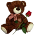 You are my Rose