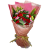 Carnation for You