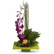 Tranquil Zen Bloom Orchid Arrangement