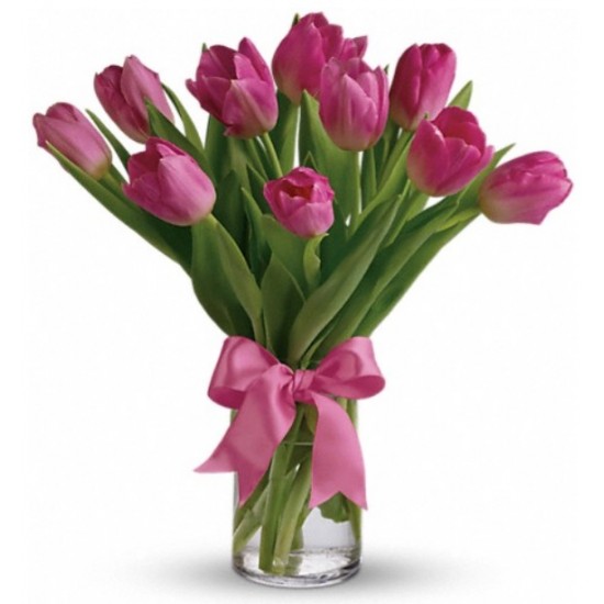 Precious Pink Tulips Precious Pink Tulips