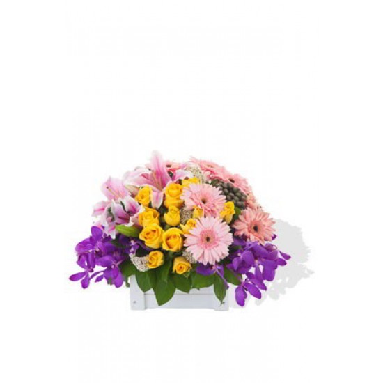 Mixed Flower Arrangement Mixed Flower Arrangement