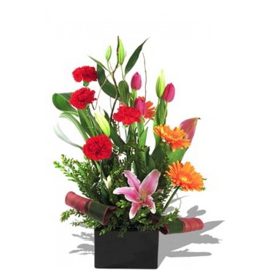Assorted Arrangement Assorted Arrangement