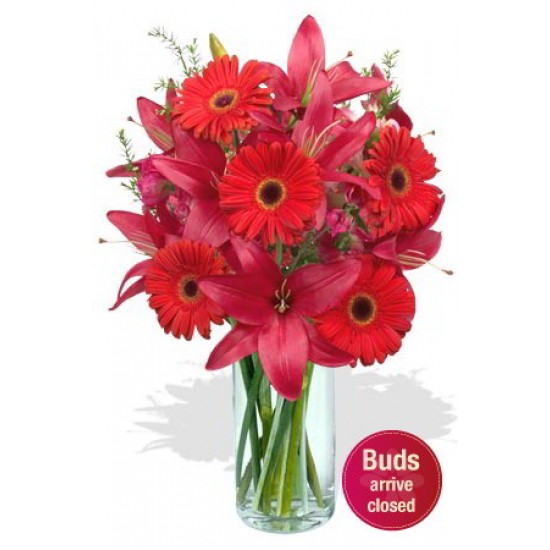 Gerbera and Asiatic Lily Bouquet Gerbera and Asiatic Lily Bouquet
