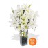 7 Oriental Lily Bouquet