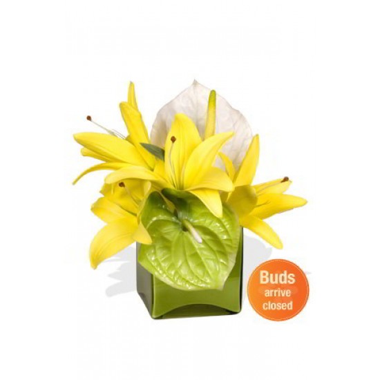 Lily Bouquet Lily Bouquet