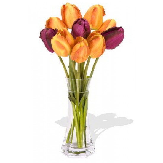 10 Mixed China Tulips Bouquet 10 Mixed China Tulips Bouquet