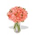 Carnation Bouquet