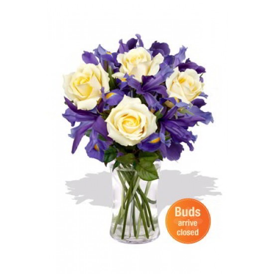 Roses and Iris Vase Bouquet Roses and Iris Vase Bouquet