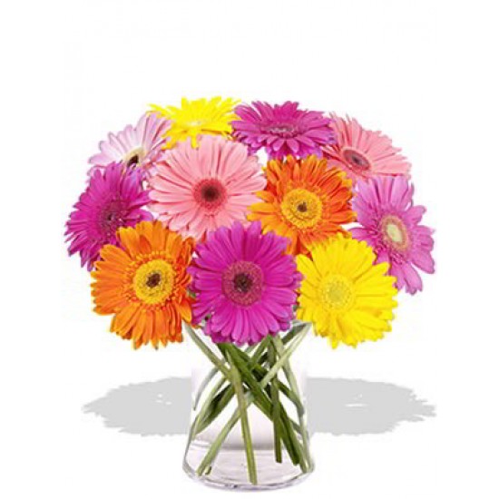 12 Gerberas Vase Bouquet 12 Gerberas Vase Bouquet