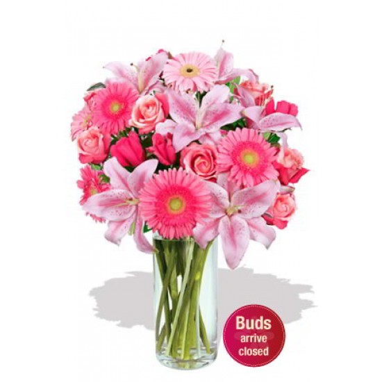 Mixed Pinks Mixed Pinks