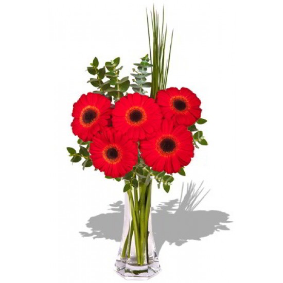 Small Gerbera Bouquet Small Gerbera Bouquet