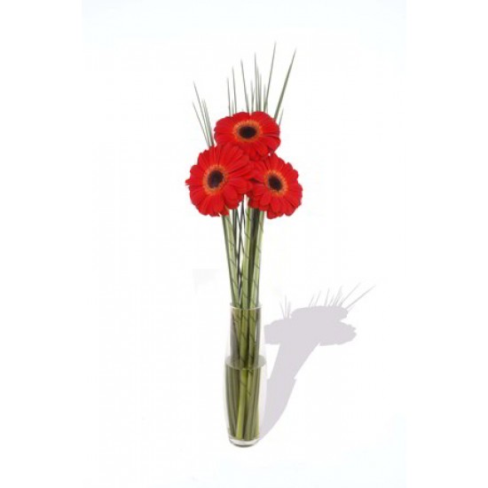 Small Gerbera Vase Posy Small Gerbera Vase Posy