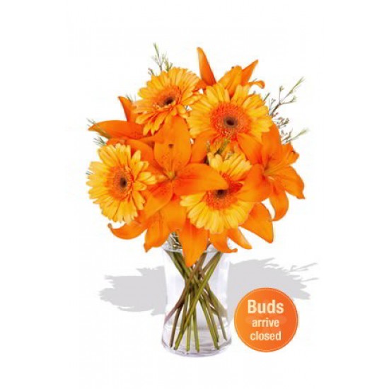 Lily Bouquet Lily Bouquet
