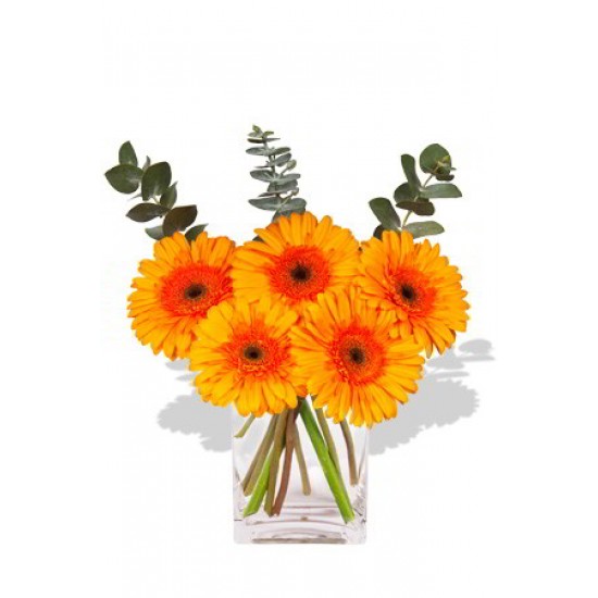 Small Gerbera Vase Bouquet Small Gerbera Vase Bouquet