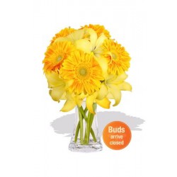 Gerbera and Asiatic Bouquet