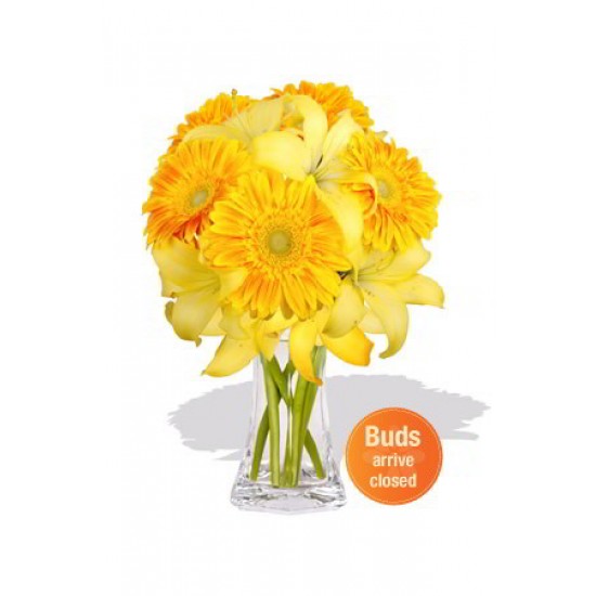 Gerbera and Asiatic Bouquet Gerbera and Asiatic Bouquet