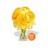 Gerbera and Asiatic Bouquet