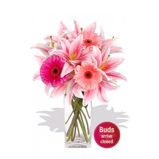 Gerberas and Oriental Lily Vase Bouquet Gerberas and Oriental Lily Vase Bouquet