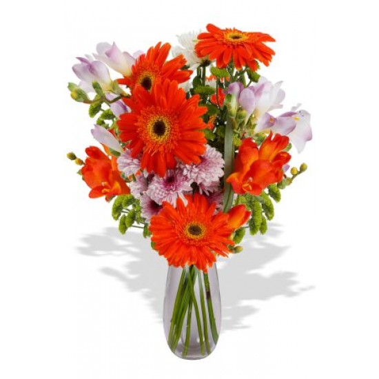 Eva Spring Eva Spring