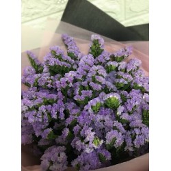 Daily Special Discount Flowers - Forget me Not Bouquet