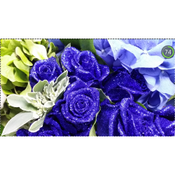 Crystal Blue Roses with Hydrangea Bouquet Crystal Blue Roses with Hydrangea Bouquet