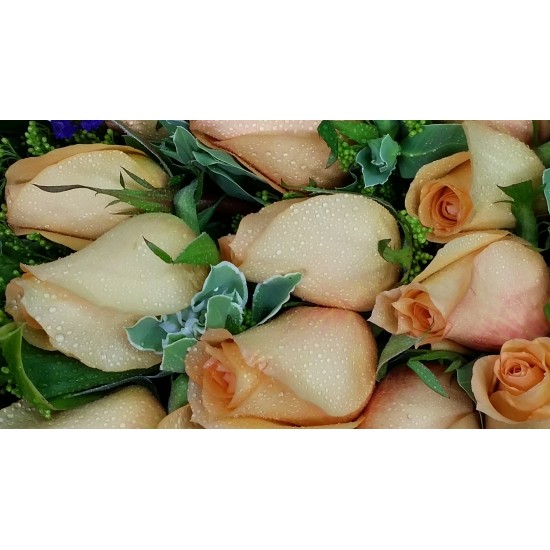 18pcs Orange Color Roses Bouquet 18pcs Orange Color Roses Bouquet