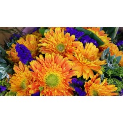 Ten Holland Gerberas Bouquet  Sunny Day Ten Holland Gerberas Bouquet  Sunny Day