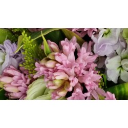 Hyacinth Flowers Bouquet Hyacinth Flowers Bouquet