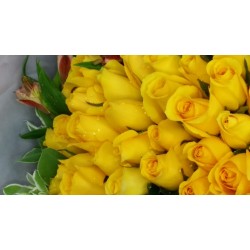 Happy Together 50pcs Roses Bouquet Happy Together 50pcs Roses Bouquet