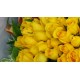 Happy Together 50pcs Roses Bouquet Happy Together 50pcs Roses Bouquet