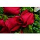 One Dozen Roses Bouquet One Dozen Roses Bouquet