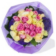 Rose Maria ,12pcs