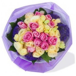 Rose Maria ,12pcs