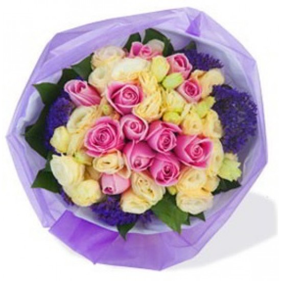 Rose Maria ,12pcs Rose Maria ,12pcs